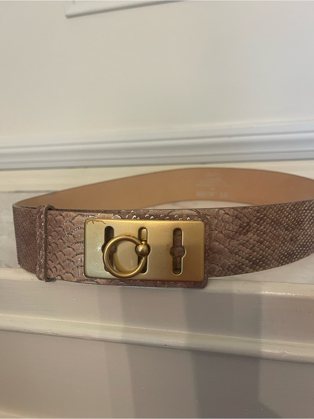 St. John Pink Taupe Textured Leather Belt with Gold Ring Plate